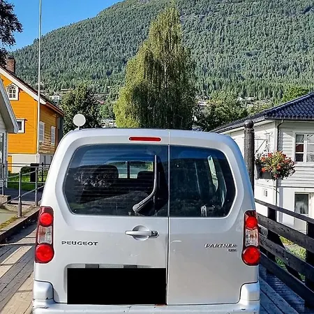 Electric London Black Minicamper אוהל מפואר